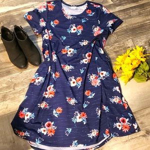 LulaRoe Julia A-line dress